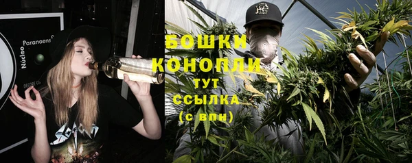 ешки Ладушкин