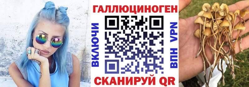 продажа наркотиков  Костерёво  Галлюциногенные грибы Magic Shrooms 
